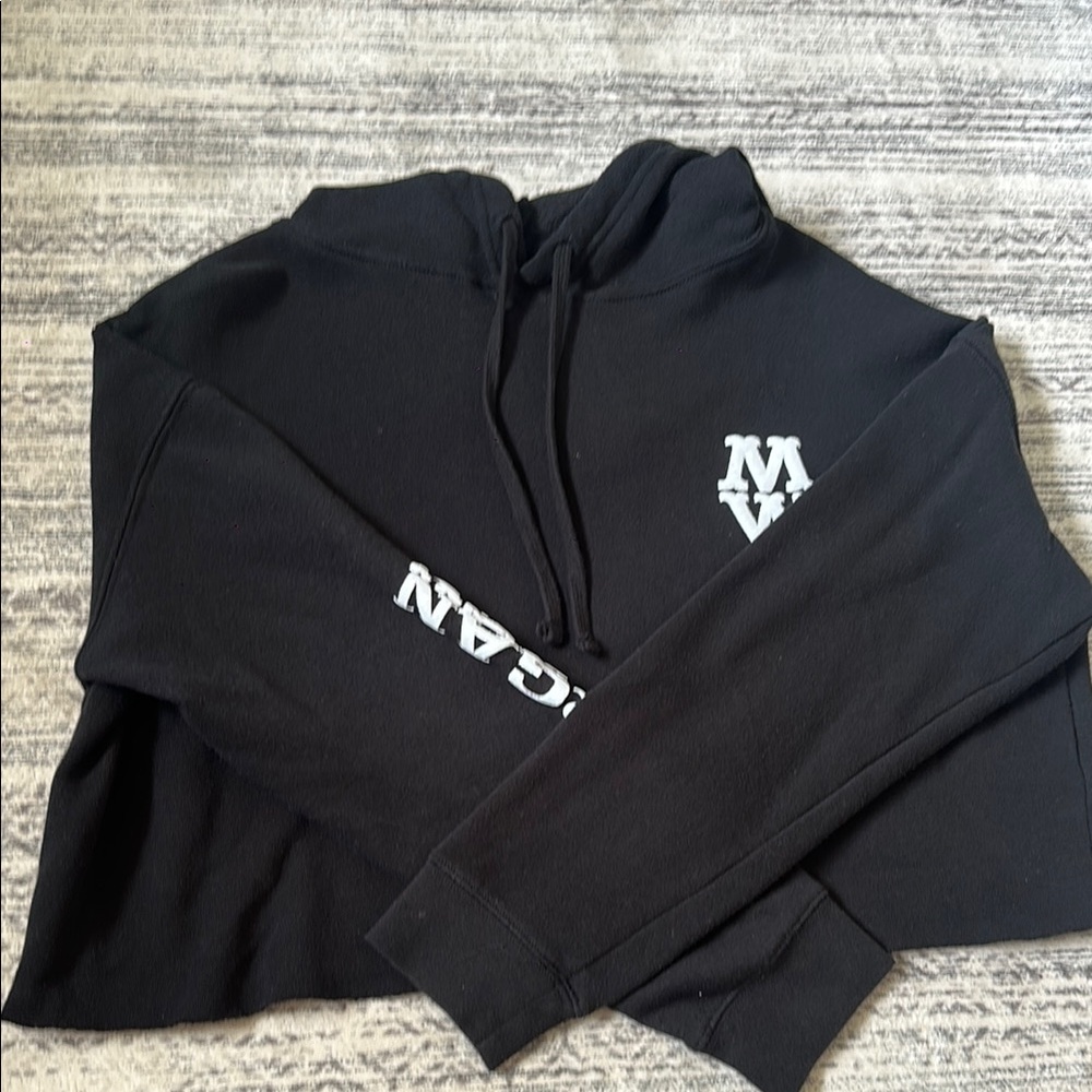 Cropped Morgan wallen sweater